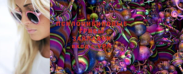 бошки Балахна