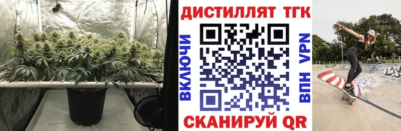 ТГК Wax Ленинск-Кузнецкий