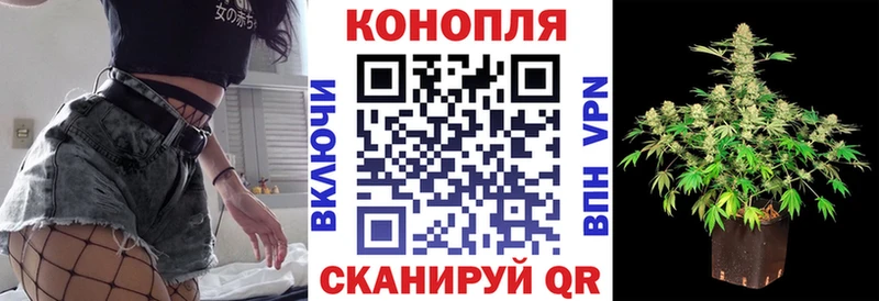 Конопля OG Kush  закладки  Ленинск-Кузнецкий 